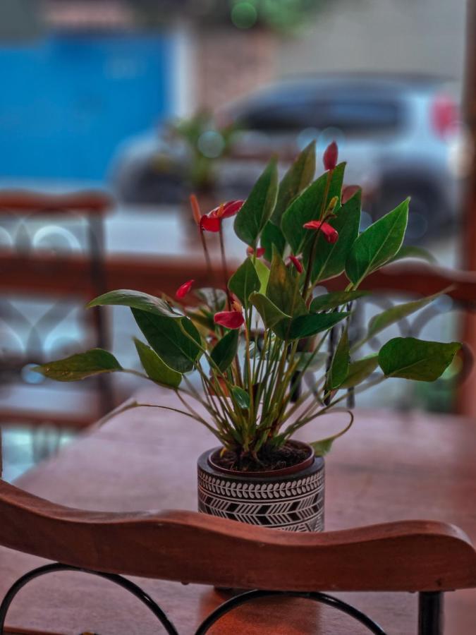 Bliss Hoteis Centro Búzios Kültér fotó Anthurium